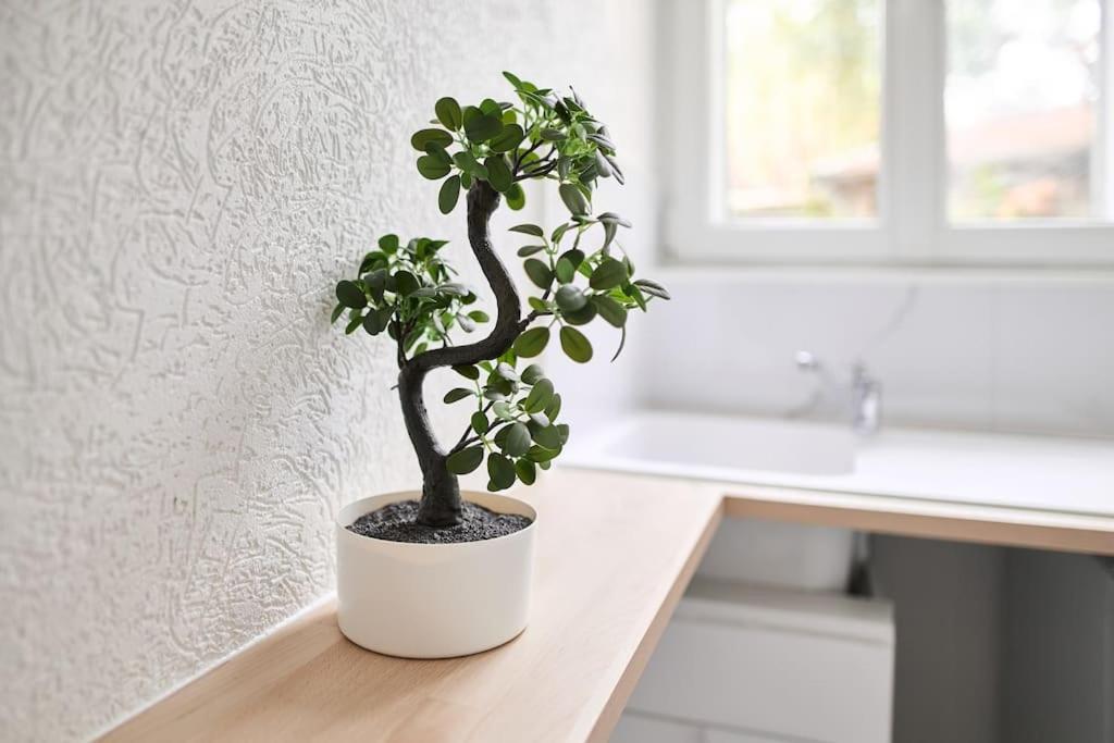 Appartement Le Petit Marceaux - T1 - Confort Reims